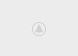 wood-gallery-placeholder-5